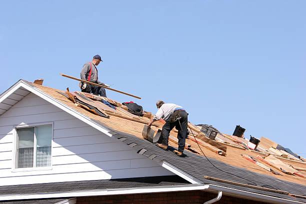 Best Emergency Roof Repair Services  in Mankato, MN