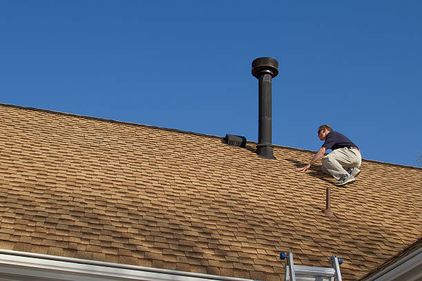 Best Roof Moss and Algae Removal  in Mankato, MN